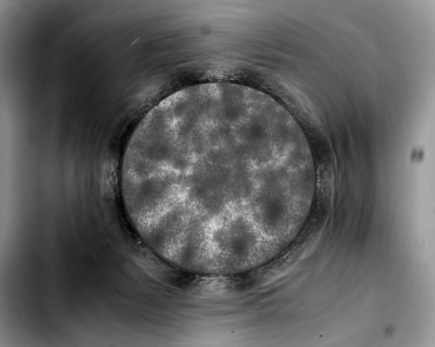 X0000103430127200810101051