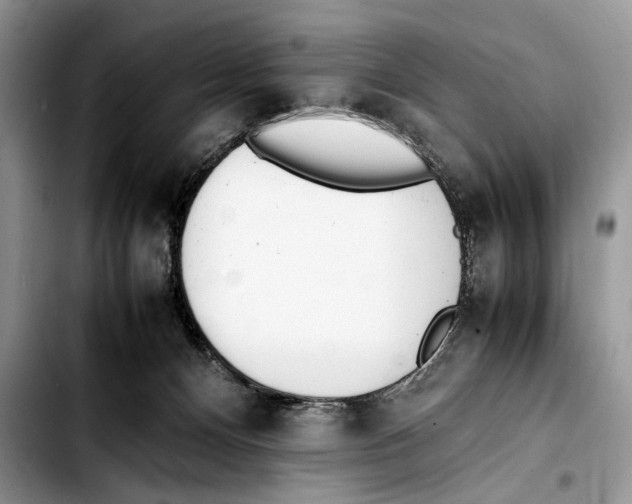 X0000103430128200810101051