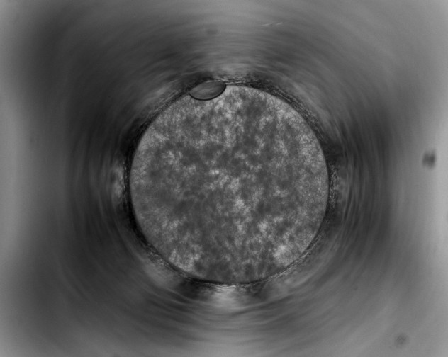 X0000103430130200810101051