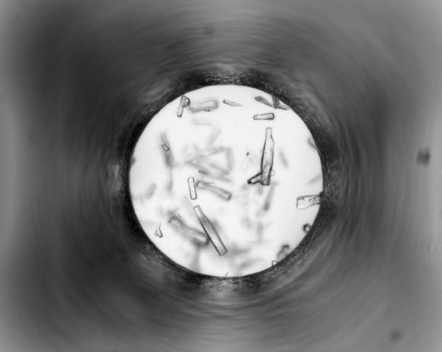 X0000103430131200810101051