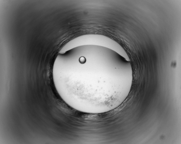 X0000103430132200810101051
