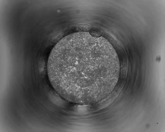 X0000103430134200810101051