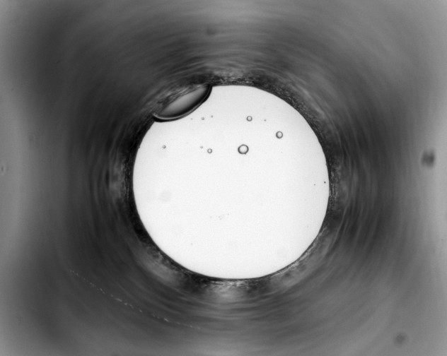 X0000103430136200810101051