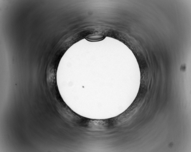 X0000103430137200810101051