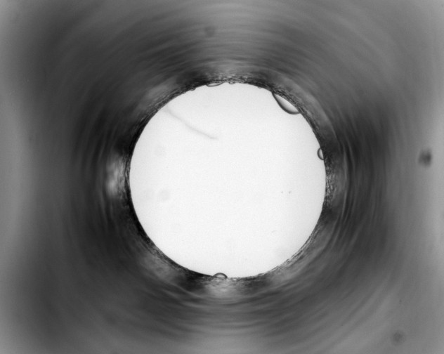 X0000103430142200810101051