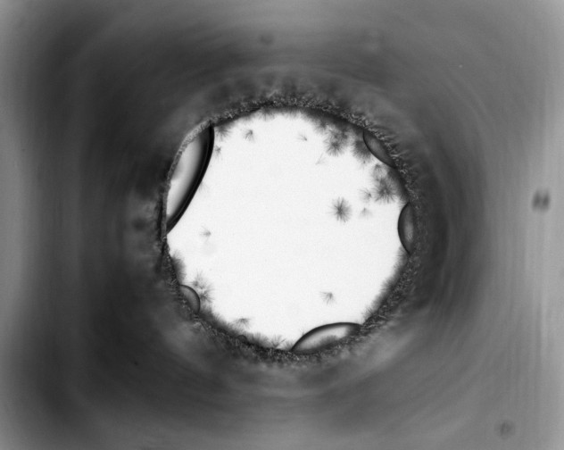 X0000103430144200810101051