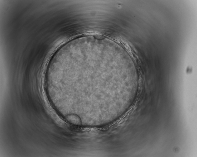 X0000103430145200810101050