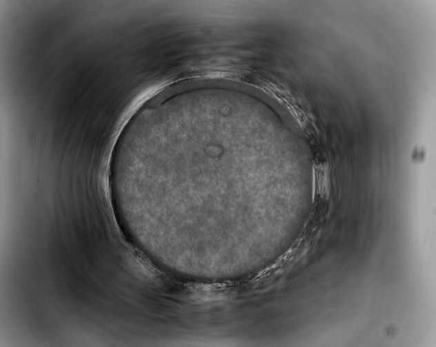 X0000103430147200810101050