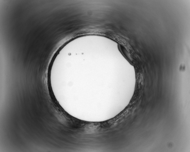 X0000103430148200810101050