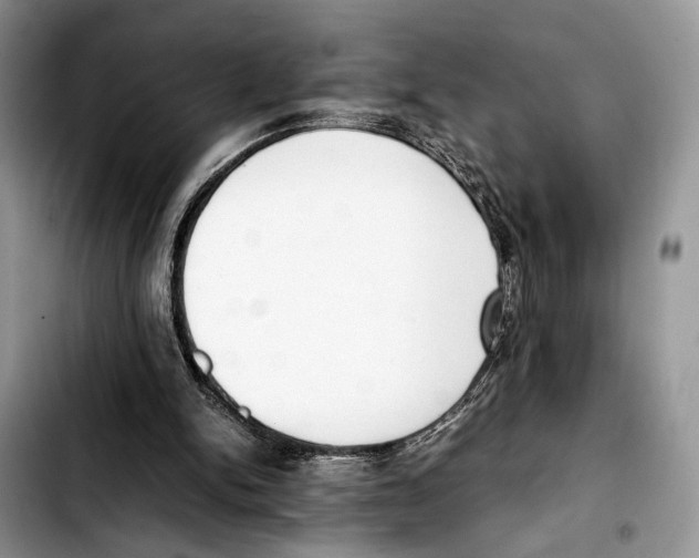 X0000103430150200810101050
