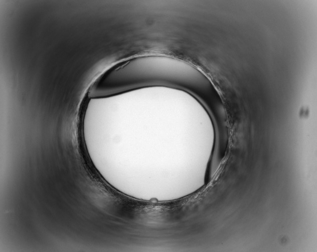 X0000103430152200810101050