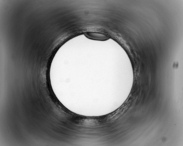X0000103430154200810101050