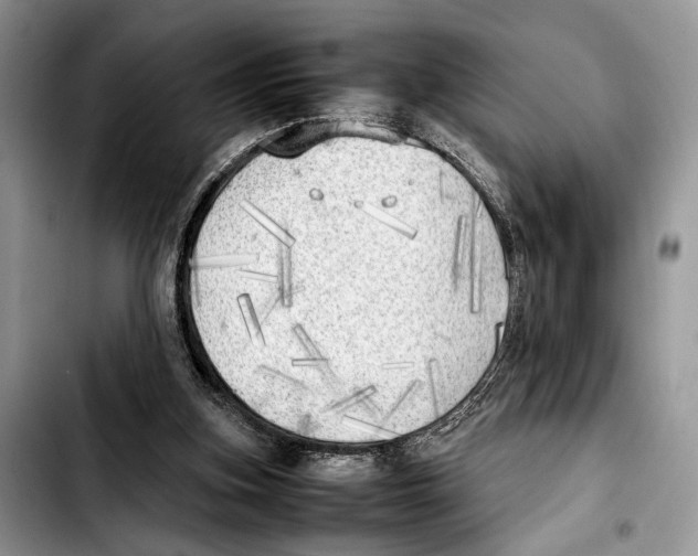 X0000103430155200810101050