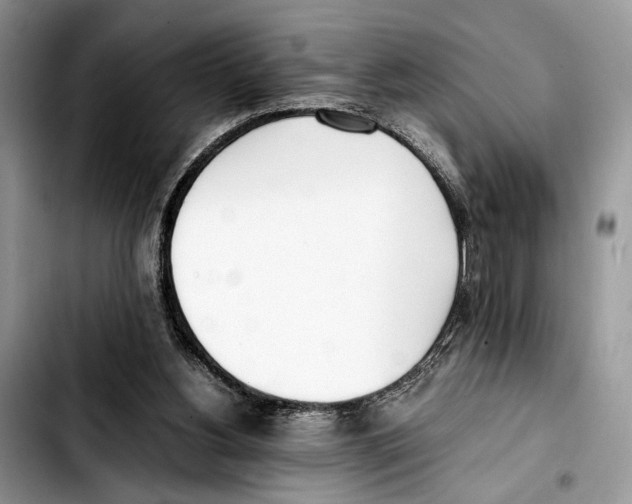 X0000103430156200810101050