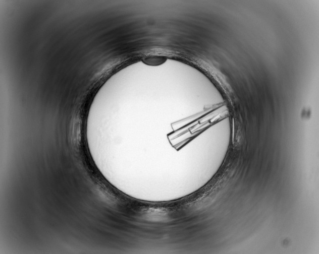 X0000103430157200810101050