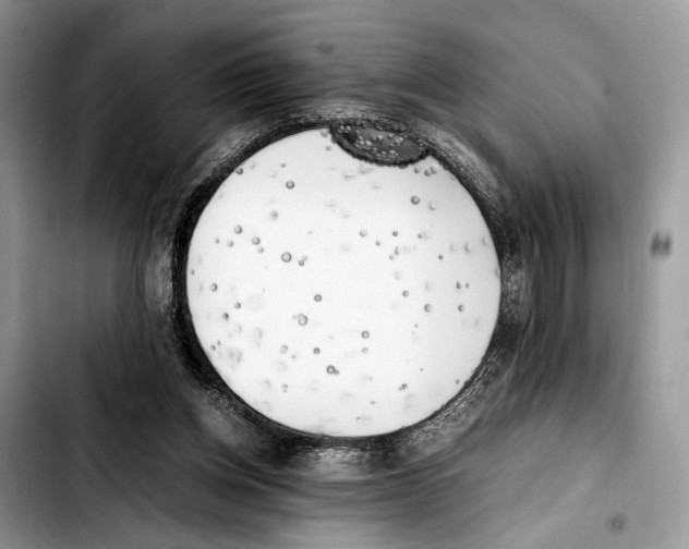 X0000103430158200810101050