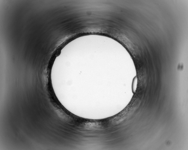 X0000103430160200810101050