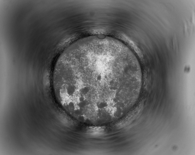 X0000103430161200810101050
