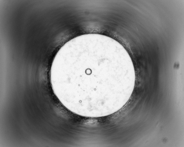 X0000103430162200810101050