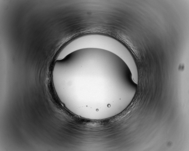 X0000103430164200810101050