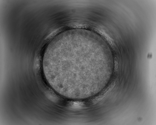 X0000103430165200810101050