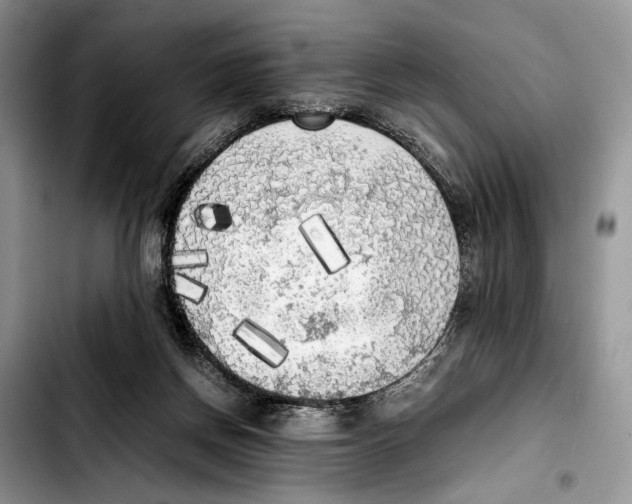 X0000103430166200810101050