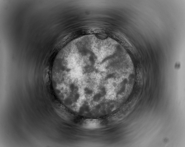 X0000103430169200810101050