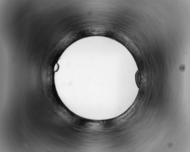X0000103430170200810101050