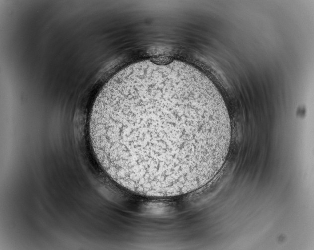 X0000103430171200810101050