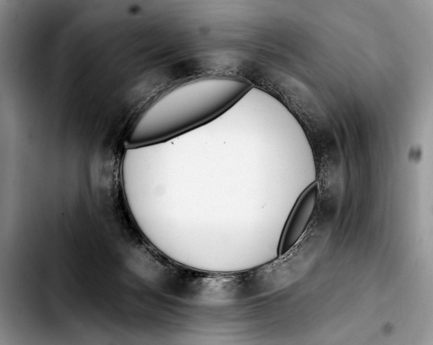 X0000103430172200810101050