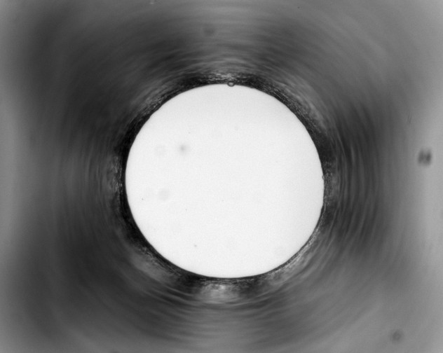 X0000103430174200810101050