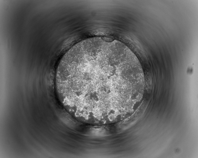 X0000103430175200810101050
