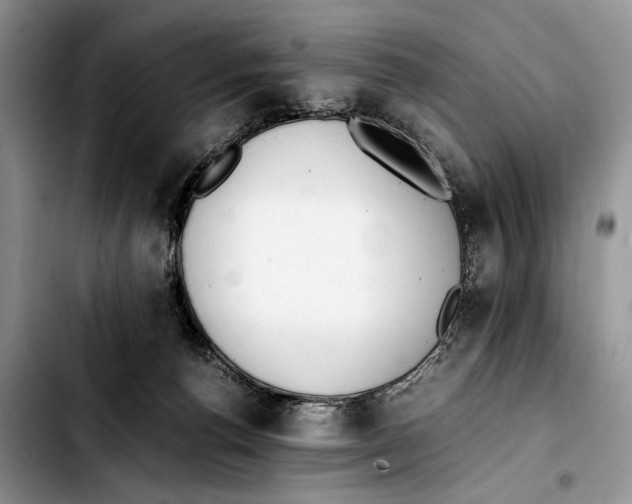X0000103430176200810101050