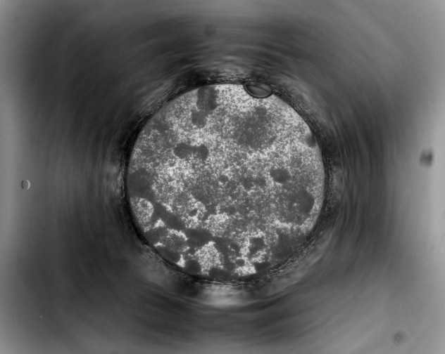 X0000103430177200810101050