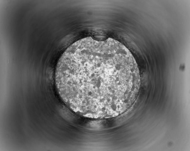 X0000103430178200810101050