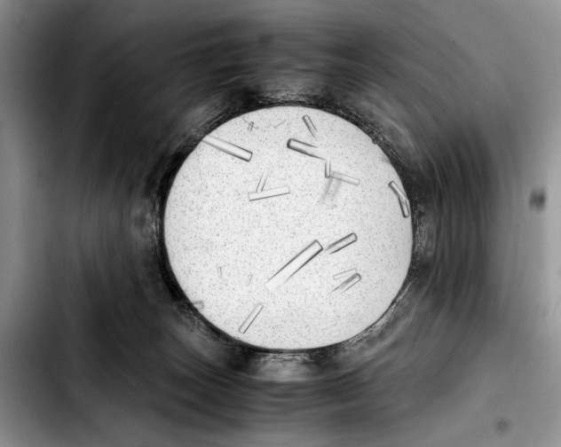 X0000103430179200810101050
