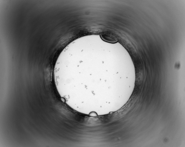 X0000103430180200810101050