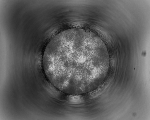 X0000103430181200810101050