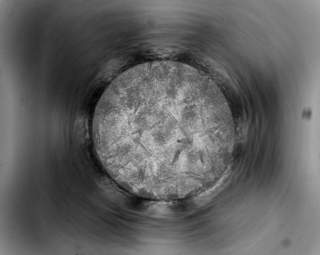 X0000103430182200810101050