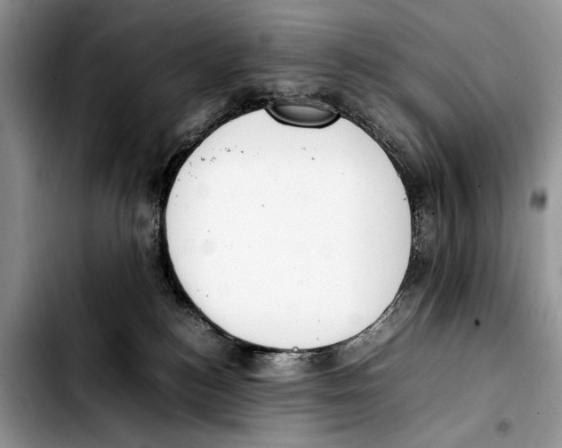 X0000103430184200810101050