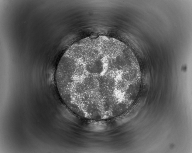 X0000103430185200810101050