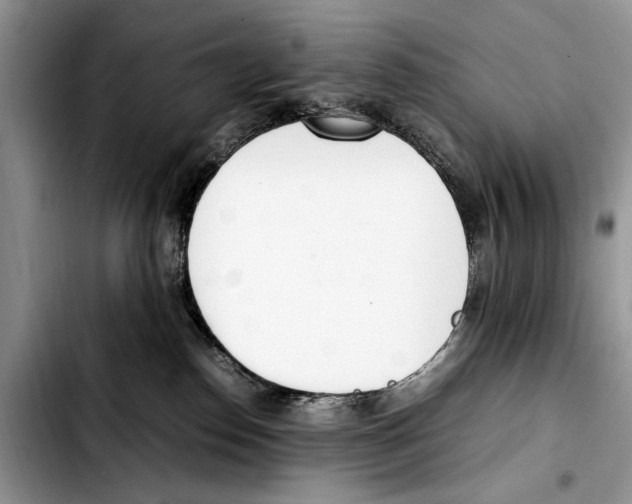 X0000103430186200810101050