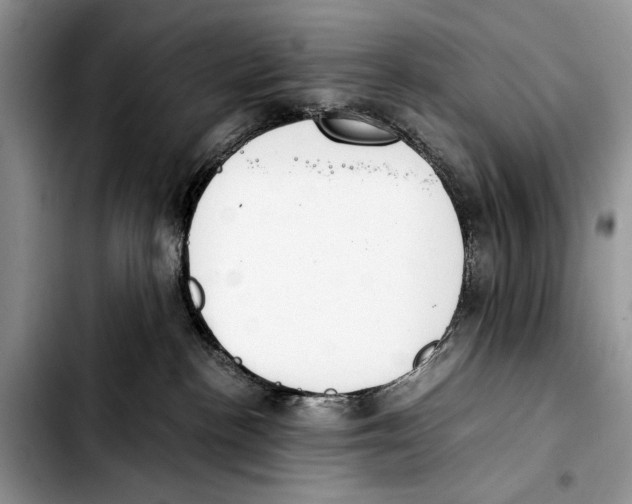X0000103430188200810101051