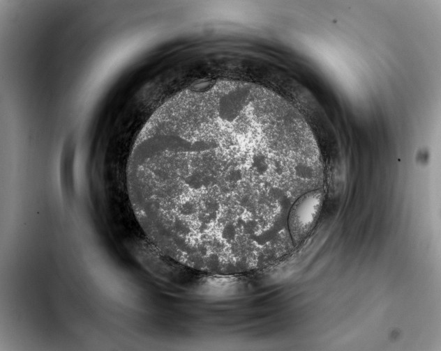 X0000103430189200810101051