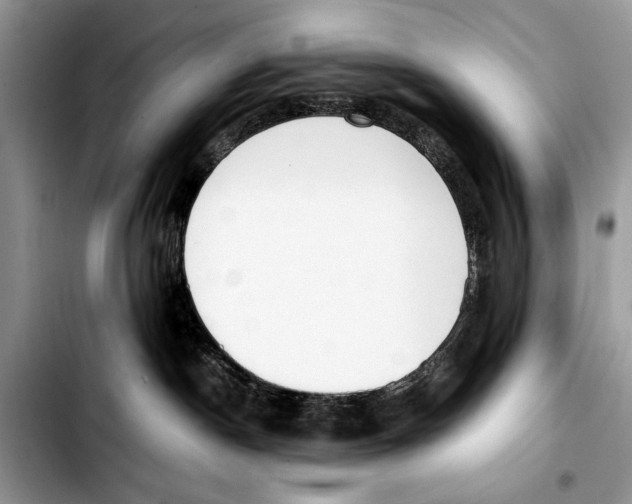 X0000103430190200810101051