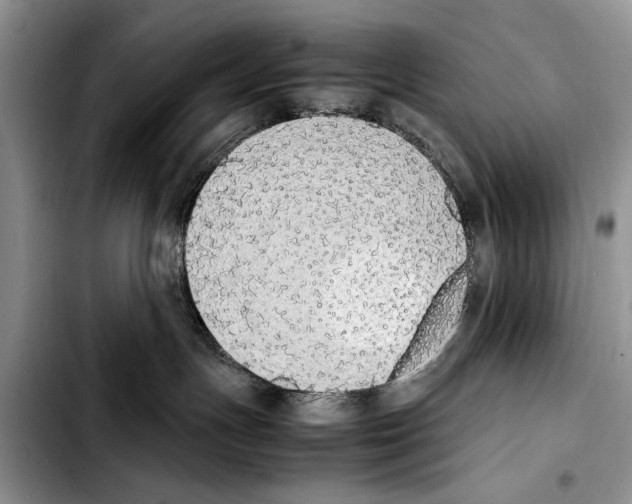 X0000103430191200810101051