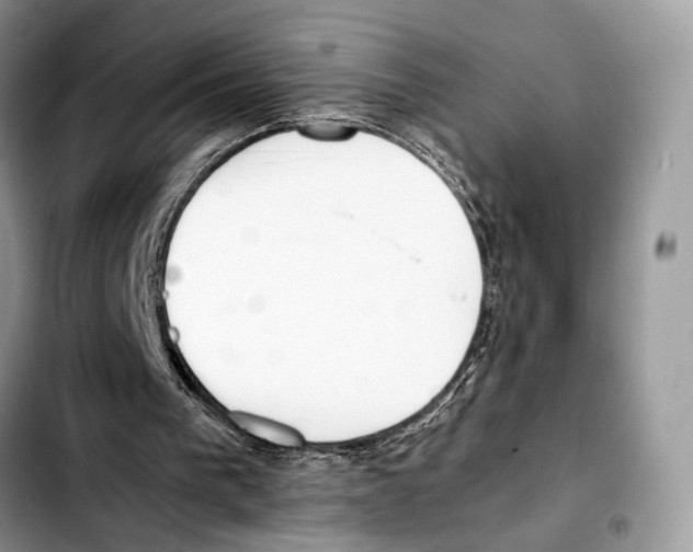 X0000103430193200810101050