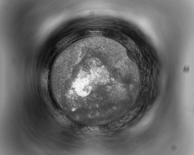 X0000103430194200810101050