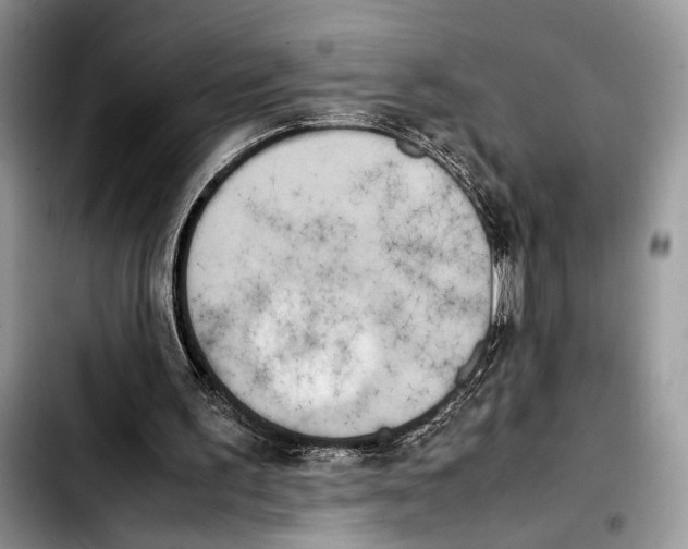 X0000103430195200810101050