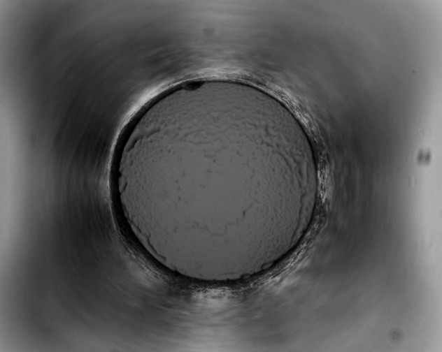 X0000103430196200810101050